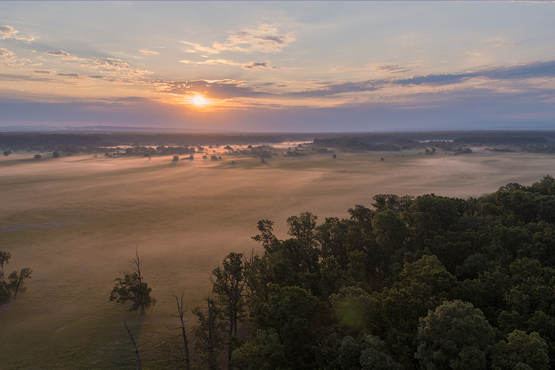 croatia, lonjsko polje, sava, zagreb, river, marsh, nature, sunrise