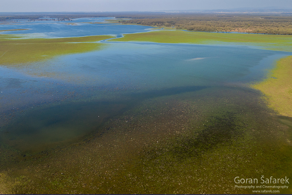 lonjsko polje, sava, zagreb, river, marsh, nature, flood