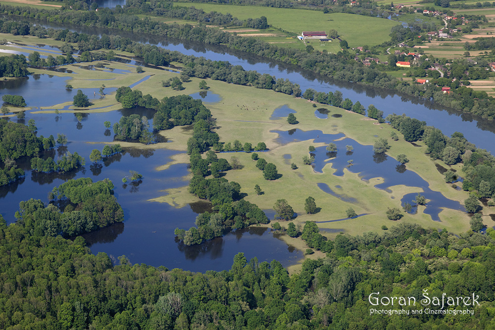 croatia, lonjsko polje, sava, zagreb, river, marsh,