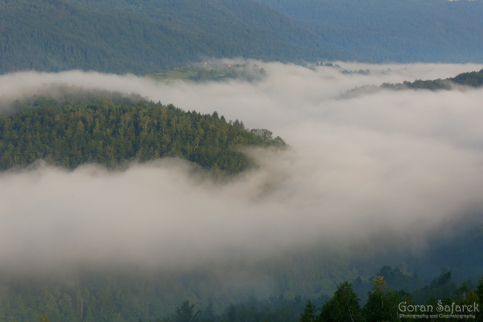 mountain, gorski kotar, croatia, fog, mist, forest, beech