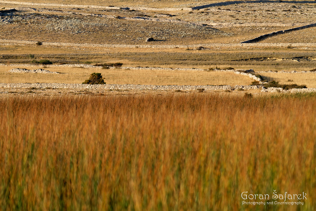 pag, island, dalmatia, adriatic, coast, sea