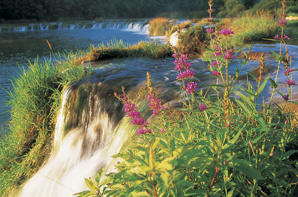 mrežnica, mreznica, river, karlovac, canyon, waterfalls, croatia, 