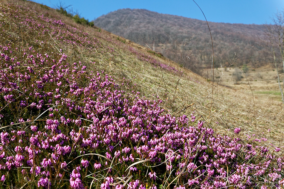 croatia, mountains, hiking, alpinism, summit, samobor, samoborsko gorje