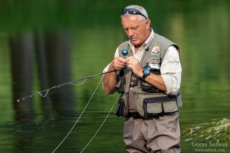 Gacka, flyfishing, trout