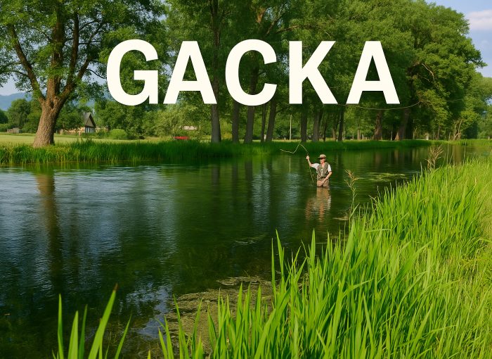 Gacka