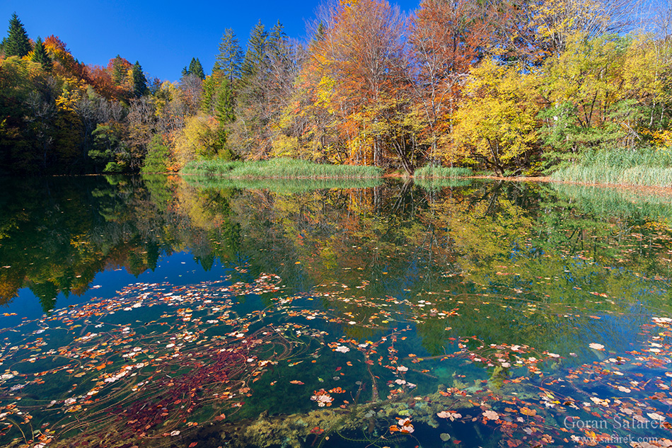 plitvice lakes, plitvička jezera, autumn, fall, waterfall, national park, croatia, lika,leaves