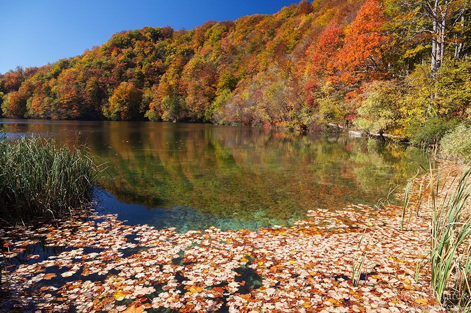 plitvice lakes, plitvička jezera, autumn, fall, waterfall, national park, croatia, lika,leaves