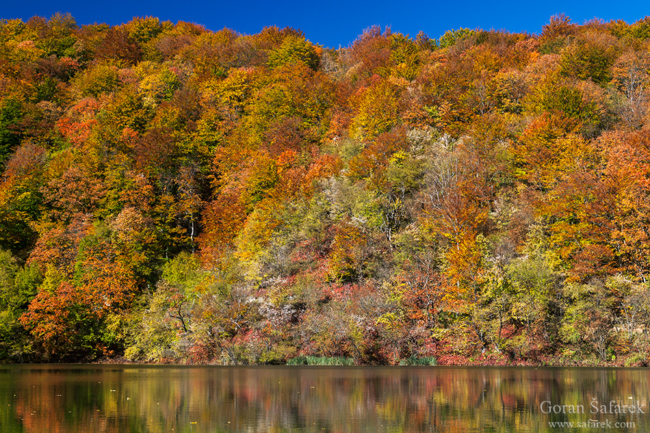 plitvice lakes, plitvička jezera, autumn, fall, waterfall, national park, croatia, lika,leaves