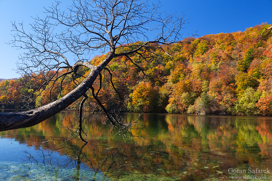 plitvice lakes, plitvička jezera, autumn, fall, waterfall, national park, croatia, lika,leaves