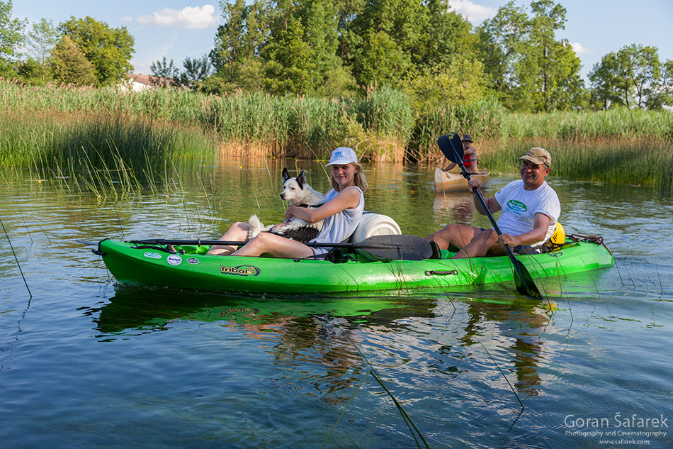 rafting, canoeing, whitewater, white water, adrenaline, action, mrežnica, canoeing