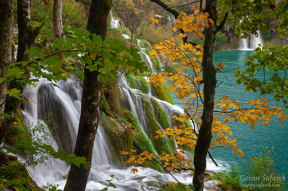 plitvice lakes, plitvička jezera, autumn, fall, waterfall, national park, croatia, lika,leaves