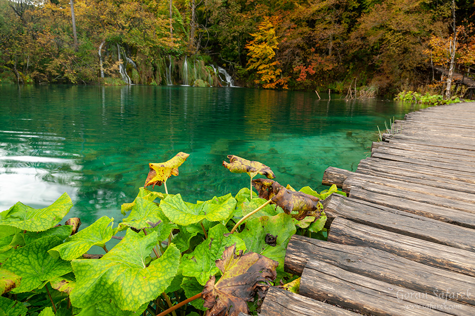 plitvice lakes, plitvička jezera, autumn, fall, waterfall, national park, croatia, lika,leaves