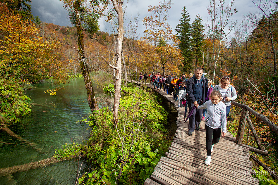 plitvice lakes, plitvička jezera, autumn, fall, waterfall, national park, croatia, lika,leaves