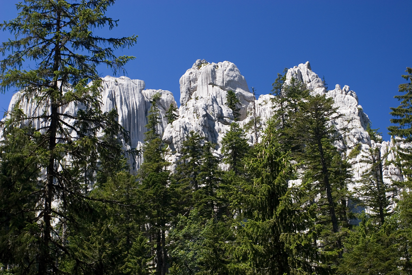 gorski kotar, bijele stijene, samarske stijene, hiking, rocks, limestone, forest,