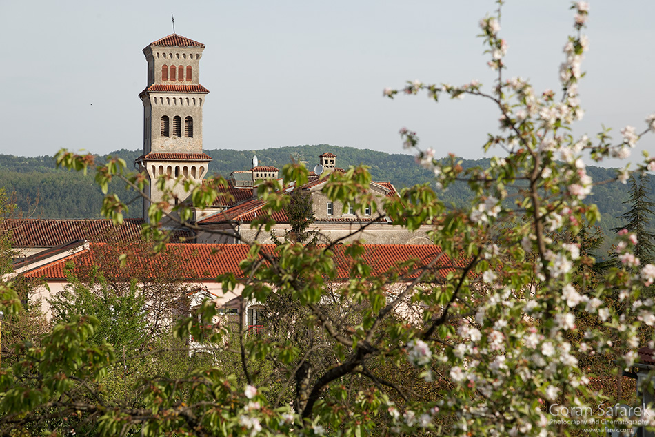 croatia, istria, pazin, 