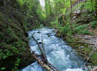 forest, mountain, kamačnik, canoyn,river,gorski kotar,vrbovsko, croatia, rapids,waterfalls, fall, autumn