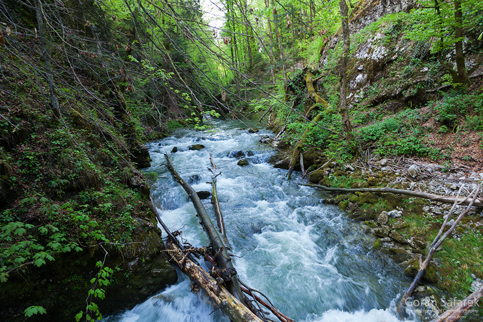 forest, mountain, kamačnik, canoyn,river,gorski kotar,vrbovsko, croatia, rapids,waterfalls, fall, autumn