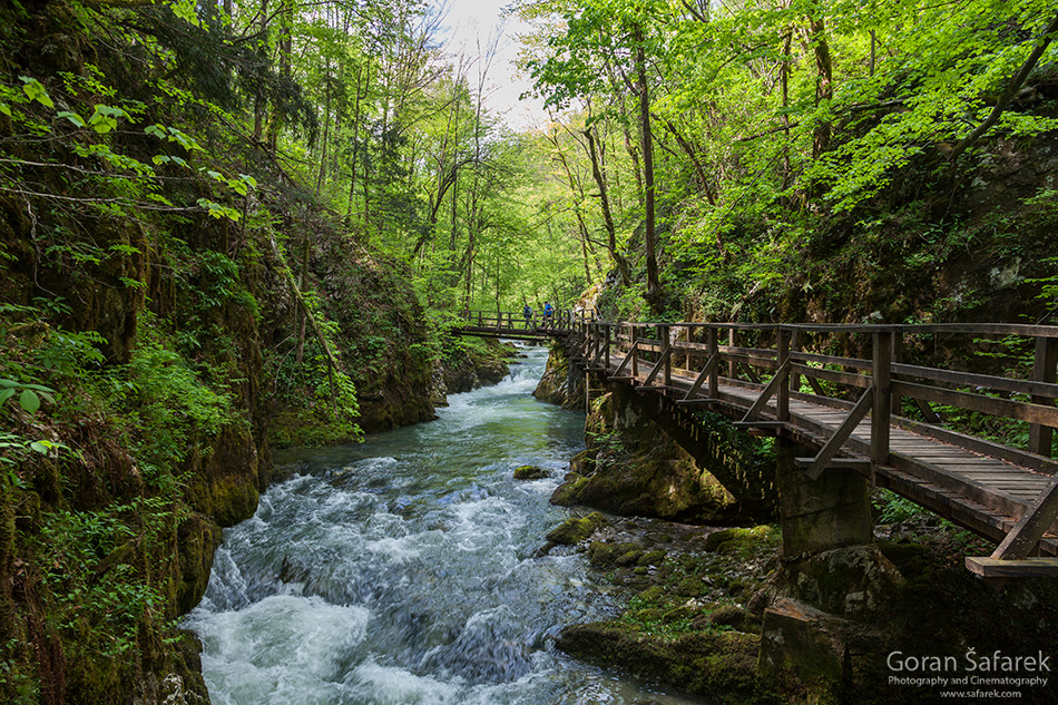  forest, mountain, kamačnik, canoyn,river,gorski kotar,vrbovsko, croatia, rapids,waterfalls, bridge