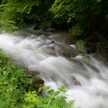 papuk, croatia, stream, mountain, nature park, slavonia, rapids