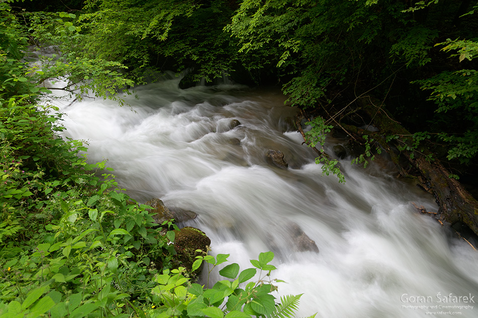 papuk, croatia, stream, mountain, nature park, slavonia, rapids