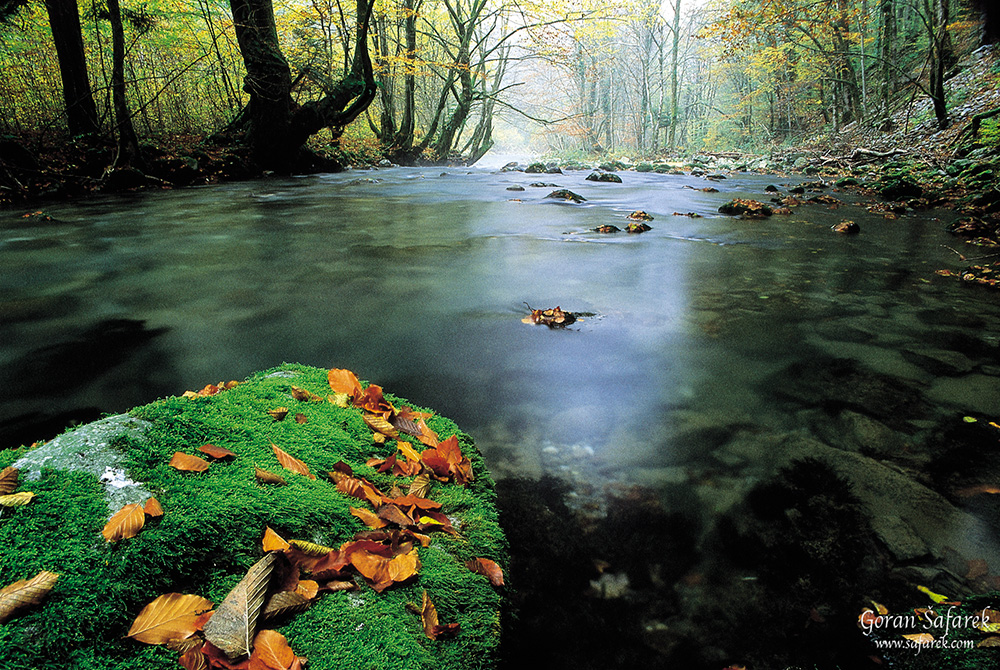 Zeleni vir, Devil's Passage, gorski kotar, torrent, river, forest, canyon, rapids