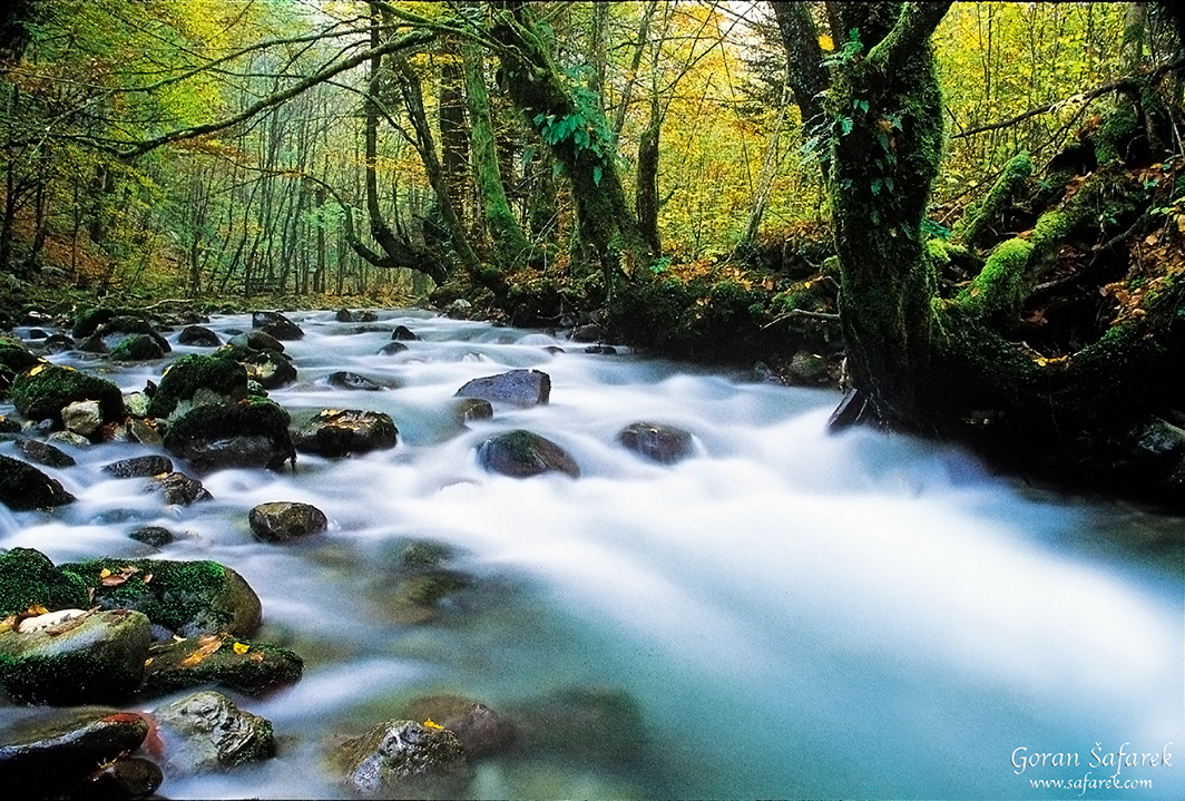 Zeleni vir, Devil's Passage, gorski kotar, torrent, river, forest, canyon, rapids