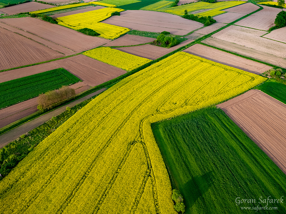 rapeseed, crops, croatia, field agriculture, yellow, flowers, aerial