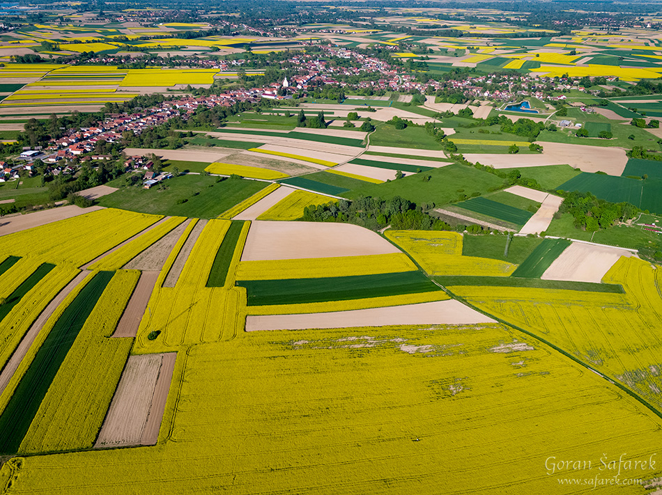 rapeseed, crops, croatia, field agriculture, yellow, flowers, aerial