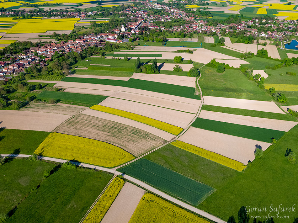 rapeseed, crops, croatia, field agriculture, yellow, flowers, aerial