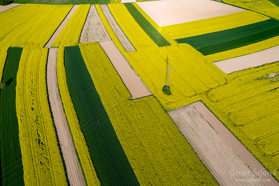 rapeseed, crops, croatia, field agriculture, yellow, flowers, aerial