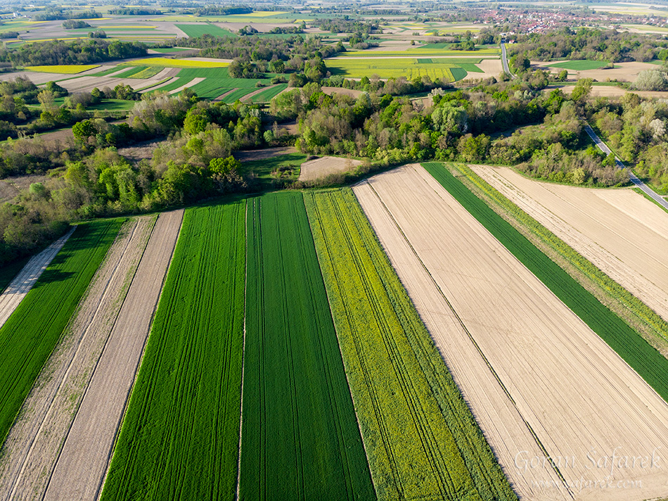 rapeseed, crops, croatia, field agriculture, yellow, flowers, aerial