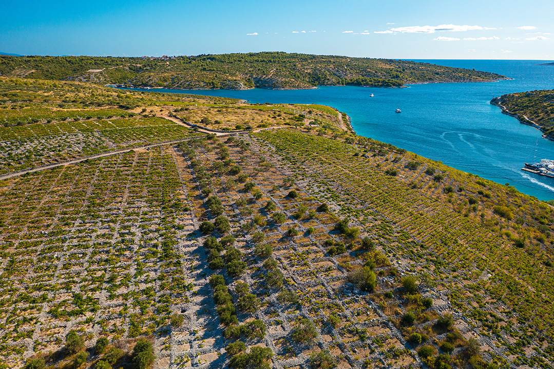 primosten, primošten, croatia, adriatic sea, dalmatia, adriatic coast