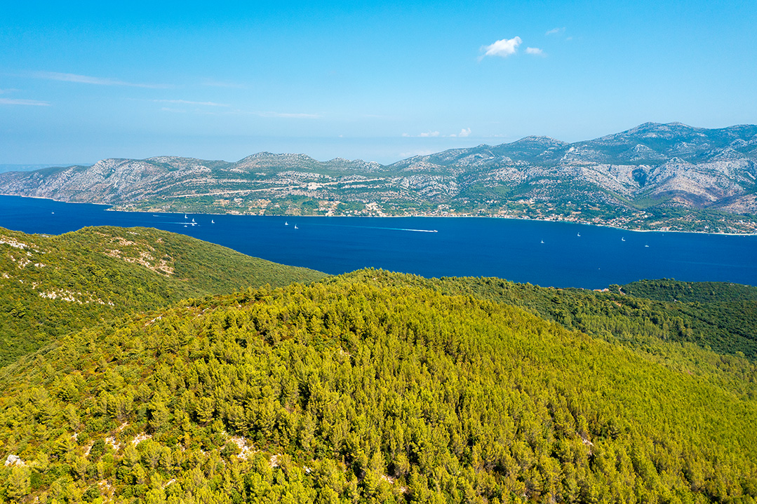 korcula, korčula, croatia, korcula croatia, adritic sea, adriatic coast, dalmatia