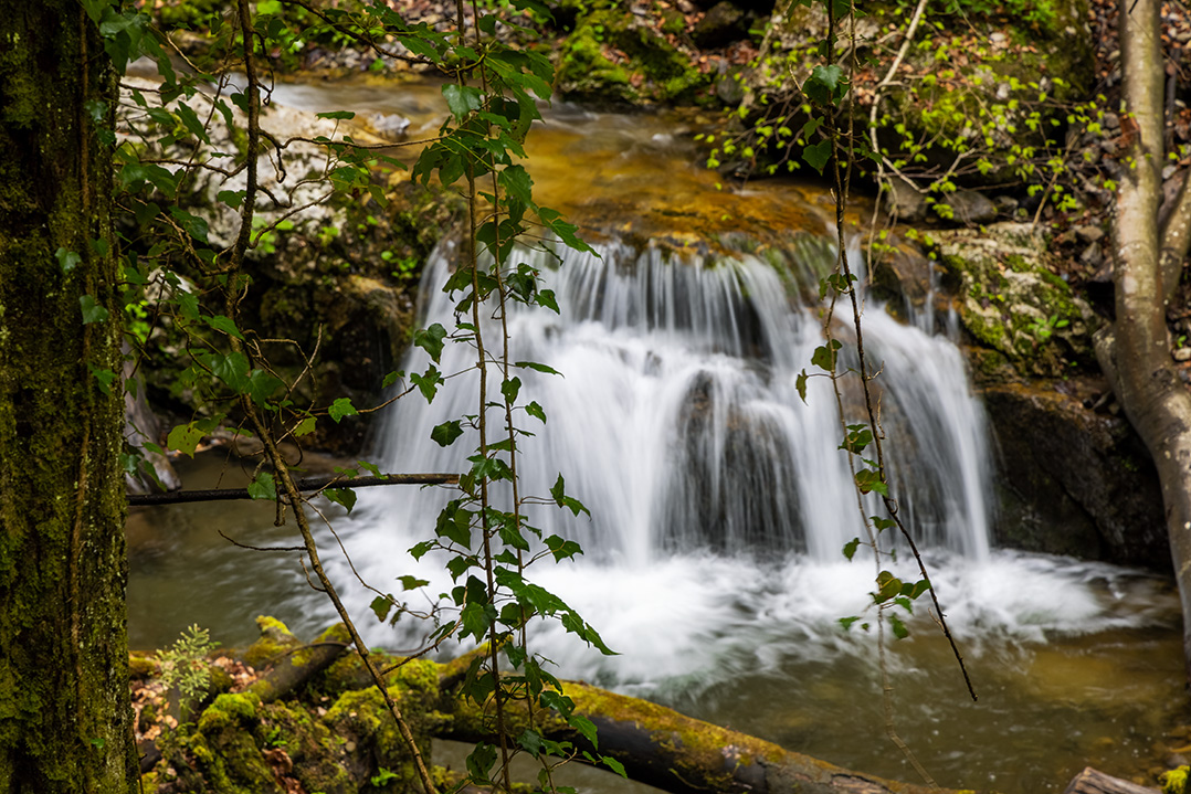 croatia, zeleni vir