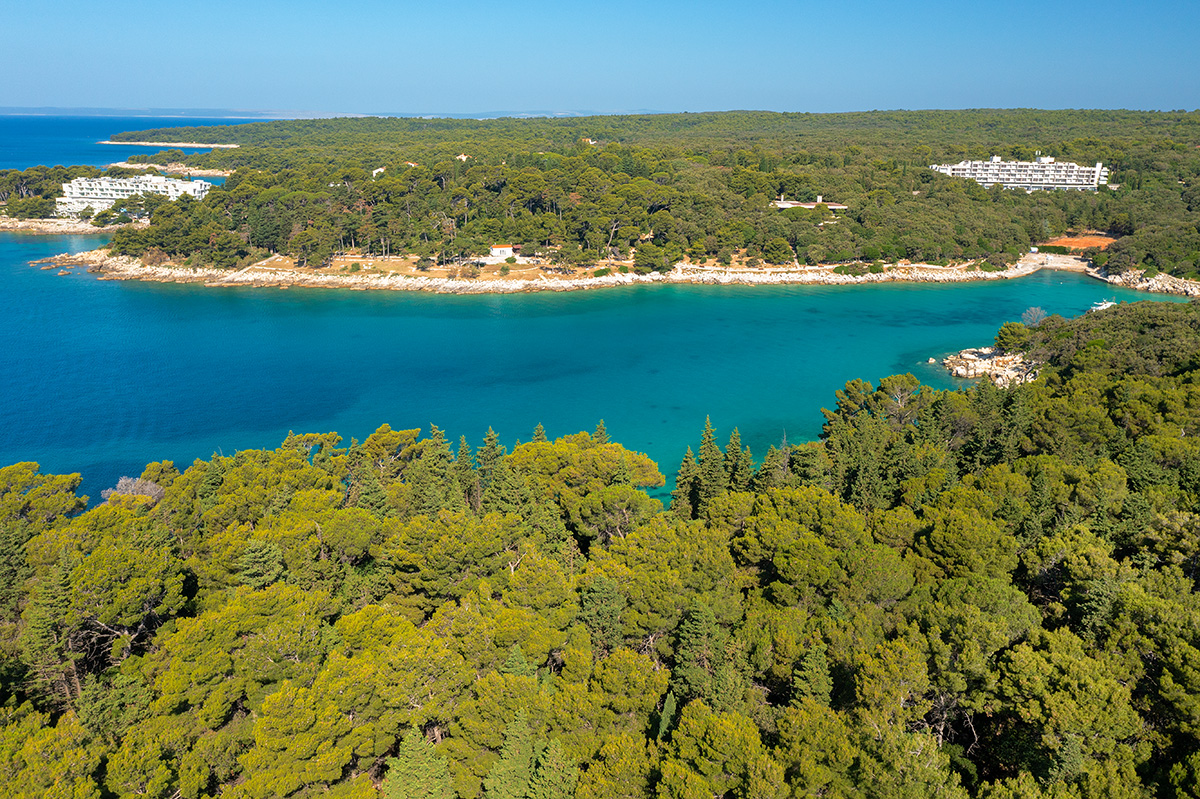 rab, croatia, adriatic sea, Kalifront, forest, pine