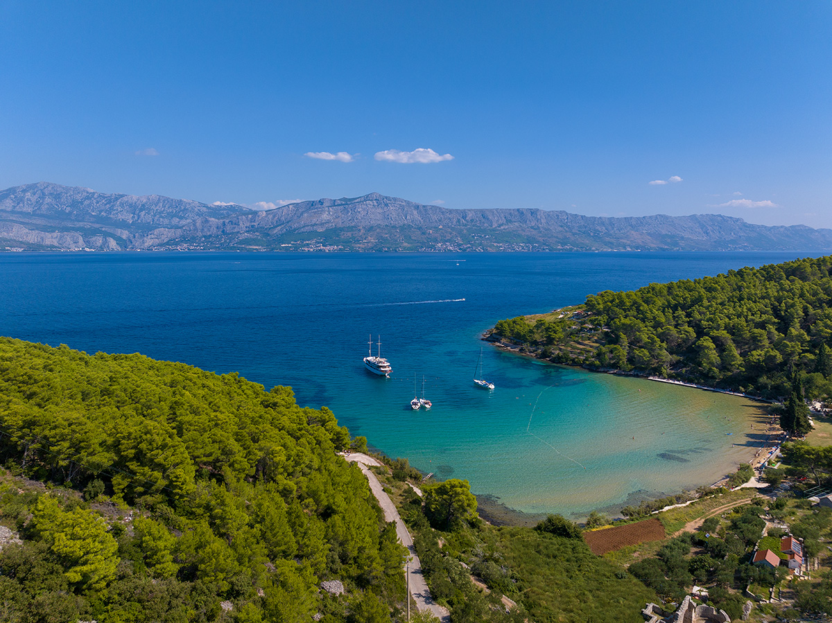 brač, brac, lovrečina, lovrecina