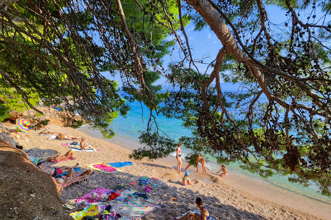 brač, brac, murvica