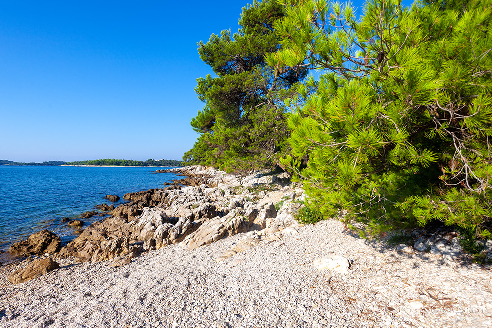 Rovinj, GOlden cape