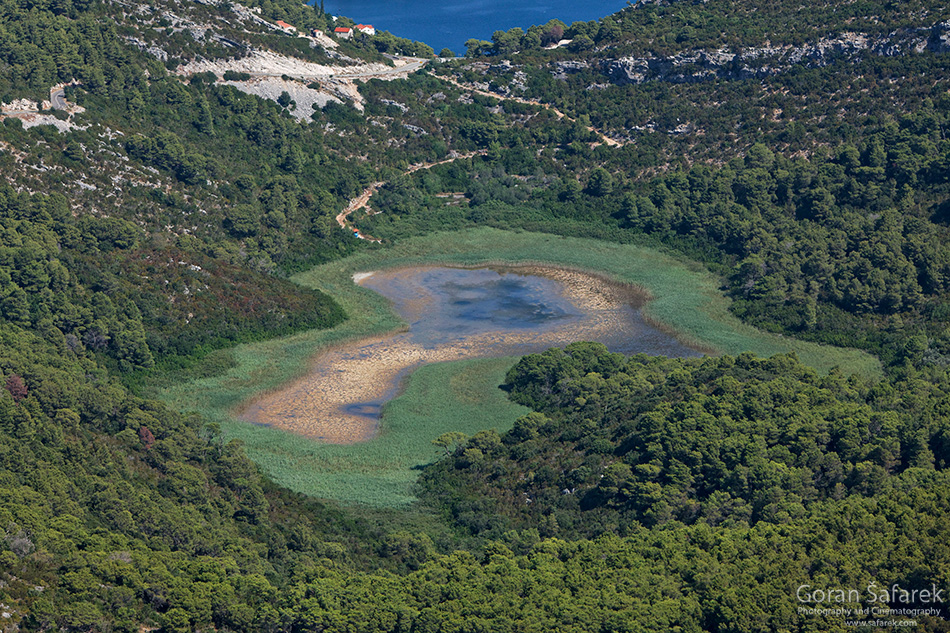 mljet