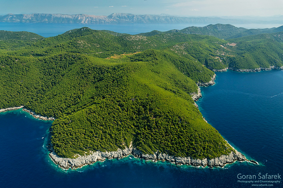 mljet