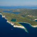 mljet