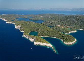 mljet