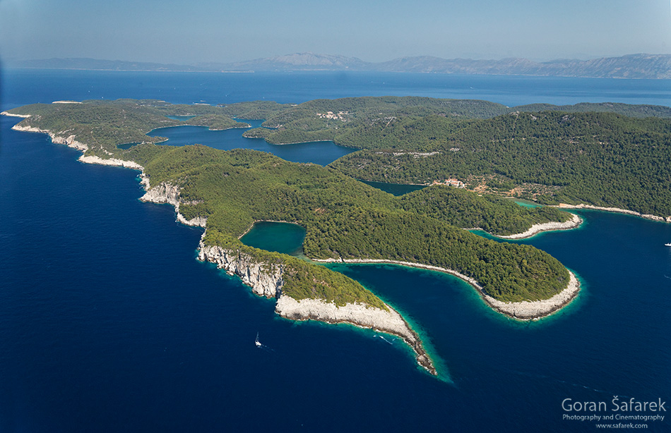 mljet