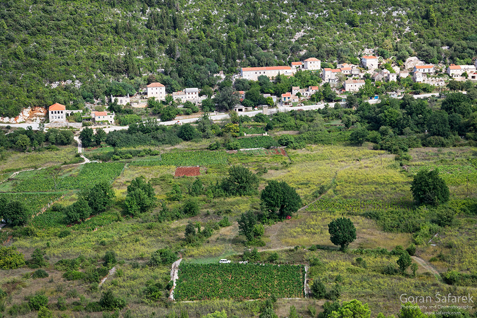 blato, mljet