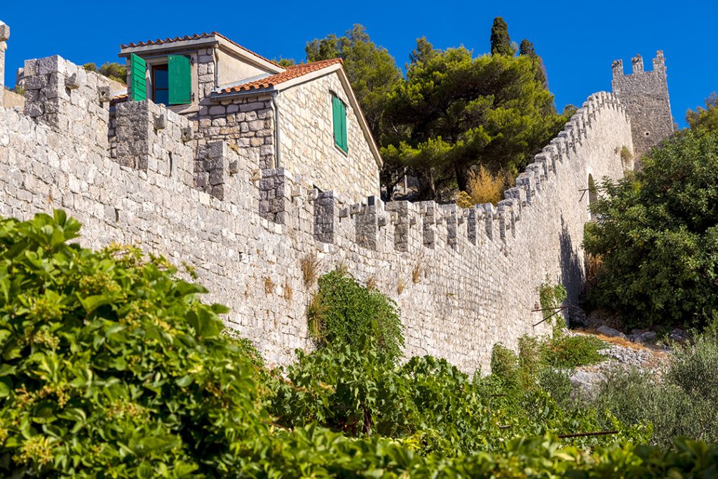 fortica, Hvar