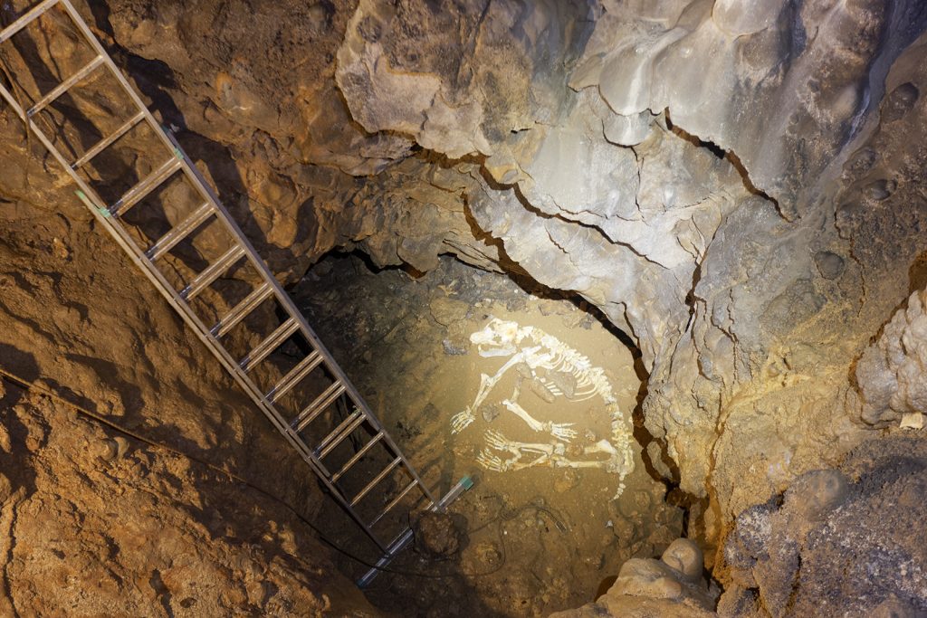 Barać Caves, Rakovica, baraćeve špilje