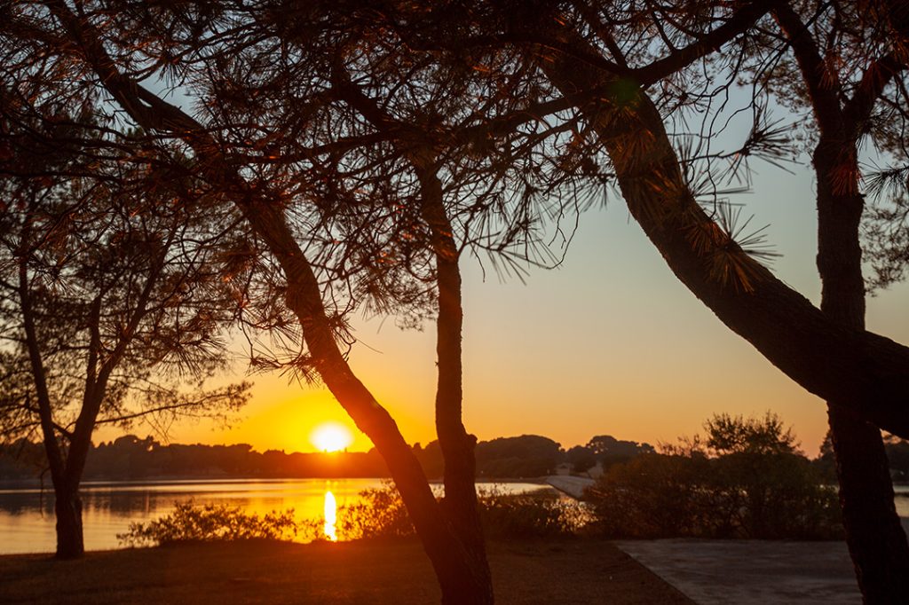 Brijuni National Park, sunset