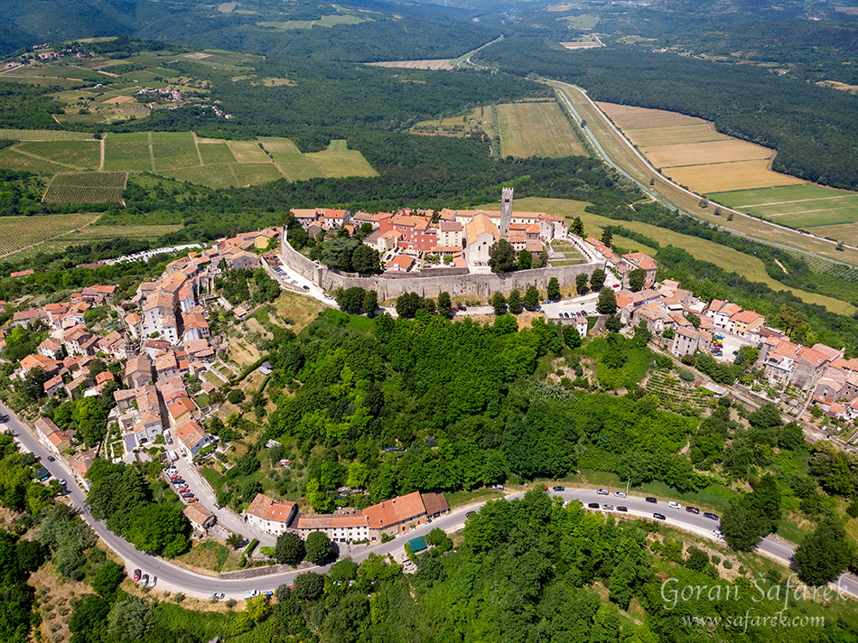 Istrian coastal town and vineyards