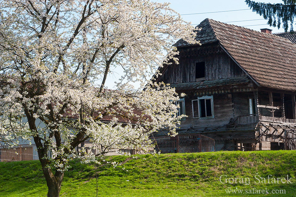 Lonjsko Polje Nature Park